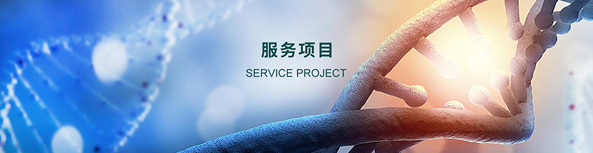 服務(wù)項(xiàng)目 服務(wù)項(xiàng)目
